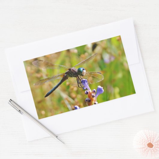 Sticker Rectangulaire Lavande (Enveloppe)