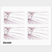 Sticker Rectangulaire Lavatera Flower Macro (Feuille)