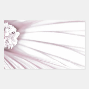 Sticker Rectangulaire Lavatera Flower Macro