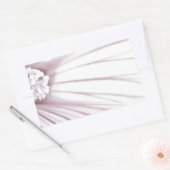 Sticker Rectangulaire Lavatera Flower Macro (Enveloppe)