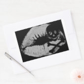 Sticker Rectangulaire Le baiser d'un pirate (Enveloppe)