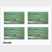 Sticker Rectangulaire Le bison américain (Feuille)