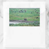 Sticker Rectangulaire Le bison américain (Sac)