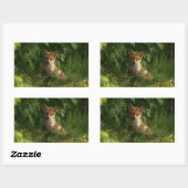 Sticker Rectangulaire Le chou renard dans une forêt verte (Feuille)
