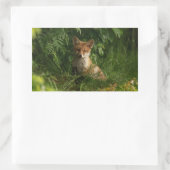 Sticker Rectangulaire Le chou renard dans une forêt verte (Sac)