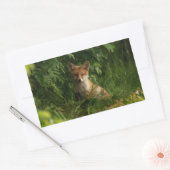 Sticker Rectangulaire Le chou renard dans une forêt verte (Enveloppe)
