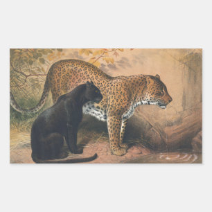 Sticker Rectangulaire Le léopard de Joseph Wolf