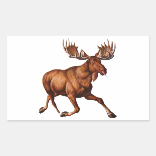 STICKER RECTANGULAIRE LE MOOSE EST LOIN (Devant)