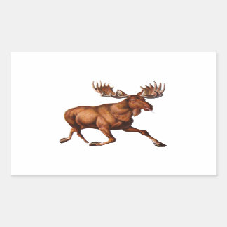 STICKER RECTANGULAIRE LE MOOSE EST LOIN