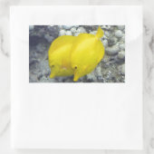 Sticker Rectangulaire Le Poisson Tang Jaune (Sac)