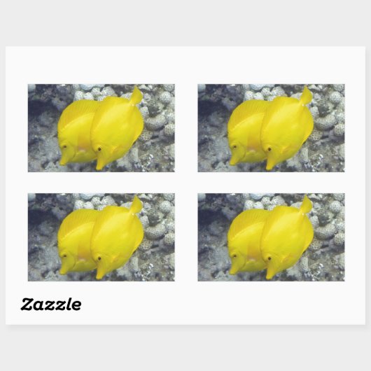 Sticker Rectangulaire Le Poisson Tang Jaune (Feuille)