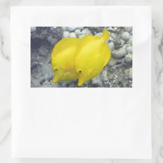 Sticker Rectangulaire Le Poisson Tang Jaune (Sac)