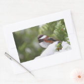 Sticker Rectangulaire Le poulet en neige sur un cèdre (Enveloppe)
