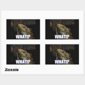 Sticker Rectangulaire Le Quoi ! ? Iguana (Feuille)