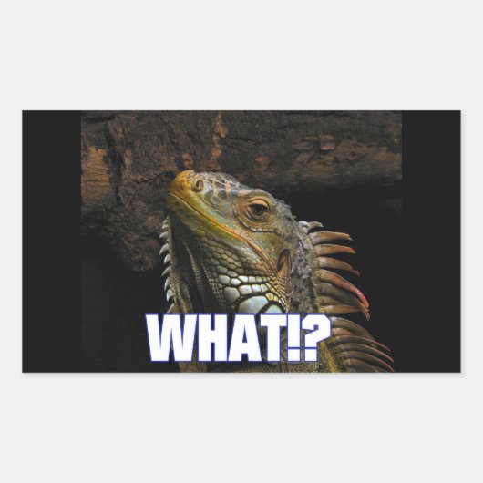 Sticker Rectangulaire Le Quoi ! ? Iguana (Devant)