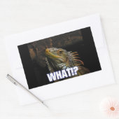 Sticker Rectangulaire Le Quoi ! ? Iguana (Enveloppe)