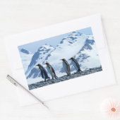 Sticker Rectangulaire Le roi Penguins de Géorgie du Sud (Enveloppe)