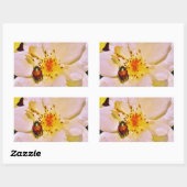Sticker Rectangulaire Le scarabée japonais sur la rose blanche (Feuille)