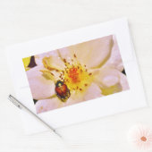 Sticker Rectangulaire Le scarabée japonais sur la rose blanche (Enveloppe)