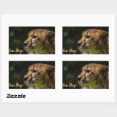 Sticker Rectangulaire Le zoo de San Diego (Feuille)