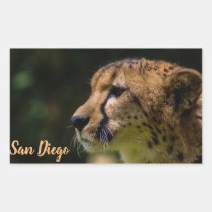 Sticker Rectangulaire Le zoo de San Diego
