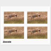 Sticker Rectangulaire Leapage de coyote - Gibbon Meadows (Feuille)