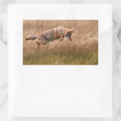 Sticker Rectangulaire Leapage de coyote - Gibbon Meadows (Sac)