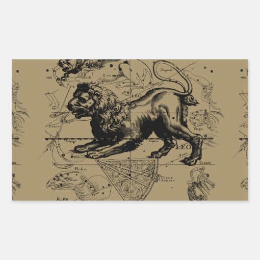 Sticker Rectangulaire Leo Constellation Carte Hevelius vers 1690 (Devant)
