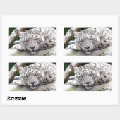 Sticker Rectangulaire Léopard de neige - beau ! (Feuille)