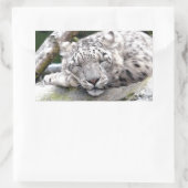 Sticker Rectangulaire Léopard de neige - beau ! (Sac)