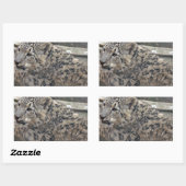 Sticker Rectangulaire Léopard des neiges (Feuille)
