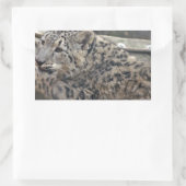 Sticker Rectangulaire Léopard des neiges (Sac)