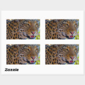 Sticker Rectangulaire Leopard tacheté (Feuille)