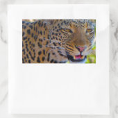 Sticker Rectangulaire Leopard tacheté (Sac)