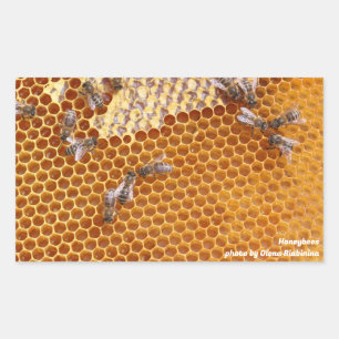 Sticker Rectangulaire Les abeilles dans une ruche