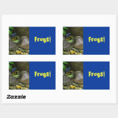 Sticker Rectangulaire Les amis de la grenouille (Feuille)