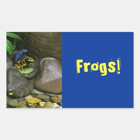 Sticker Rectangulaire Les amis de la grenouille (Devant)