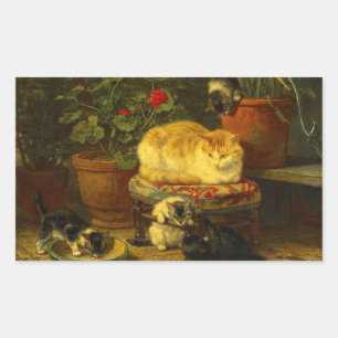 Sticker Rectangulaire Les chatons en jeu