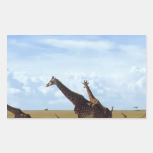 Sticker Rectangulaire Les Giraffes du Parc National de Nairobi (Devant)