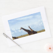 Sticker Rectangulaire Les Giraffes du Parc National de Nairobi (Enveloppe)