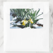 Sticker Rectangulaire Les jonquilles jaunes dans la neige (Sac)
