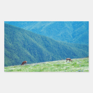 Sticker Rectangulaire Les seaux au pied des montagnes