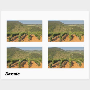 Sticker Rectangulaire Les vignobles de Tokaj, Hongrie