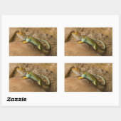 Sticker Rectangulaire Lézard à collerette (Feuille)