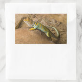 Sticker Rectangulaire Lézard à collerette (Sac)