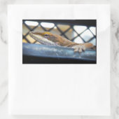 Sticker Rectangulaire Lézard d'oignons vertes du soleil (Sac)