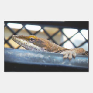 Sticker Rectangulaire Lézard d'oignons vertes du soleil