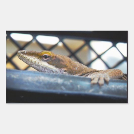 Sticker Rectangulaire Lézard d'oignons vertes du soleil (Devant)