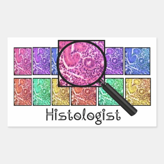 Sticker Rectangulaire L'Histologue Dons Des Cellules Magnifiées Concepti (Devant)