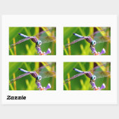 Sticker Rectangulaire libellule turquoise et violette (Feuille)